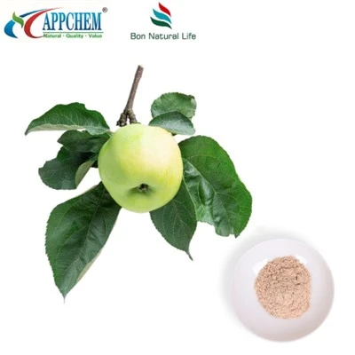 Thành phần mỹ phẩm Phloretin 60-82-2