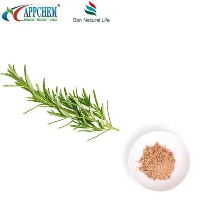 Bột hương thảo khô
