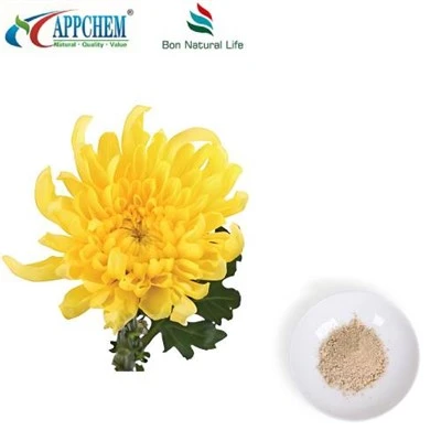Bột chiết xuất hoa cúc Flos