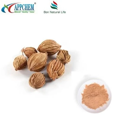Bột chiết xuất Fructus Amomi