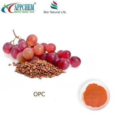Chiết xuất hạt nho 95 OPC