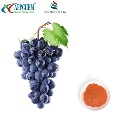 Bột chiết xuất hạt nho 95 Polyphenol