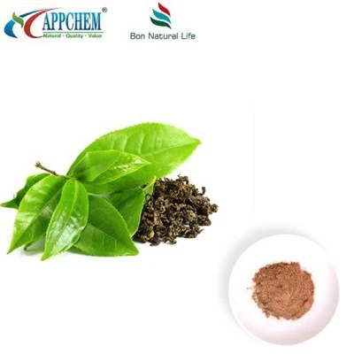 Bột trà xanh 95 Polyphenol