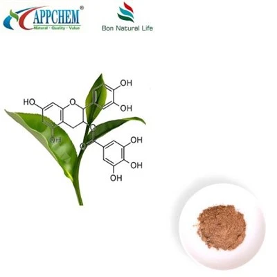 Chiết xuất trà xanh Polyphenol