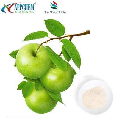 HPLC90% Phloretin bột COA TDS