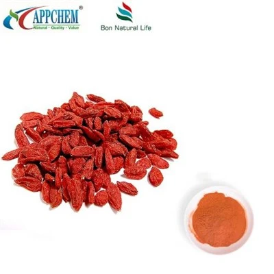 Chiết xuất Lycium Barbarum