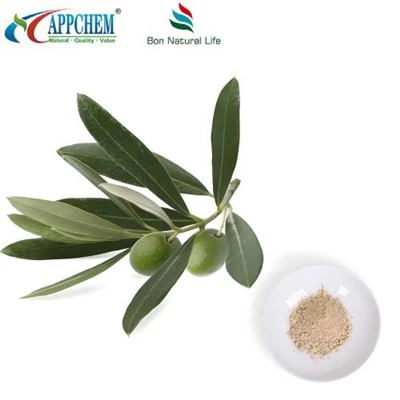 Bột chiết xuất lá ô liu