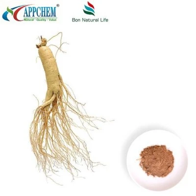 Bột chiết xuất nhân sâm Panax
