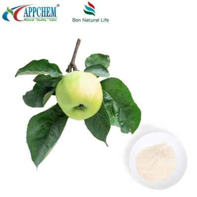 Phlorizin 60-82-1 Thành phần quản lý đường huyết