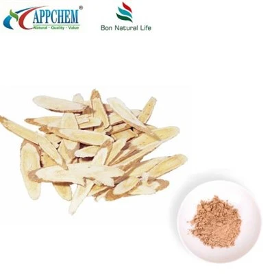 Radix Astragali chiết xuất bột