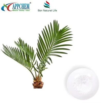 Bột chiết xuất Saw Palmetto