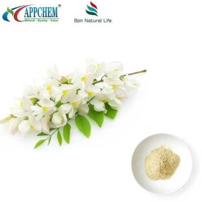 Bột chiết xuất Sophora Japonica
