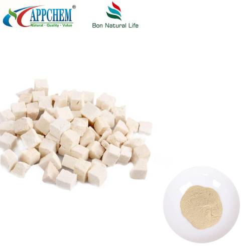 Bột chiết xuất Tuckahoe